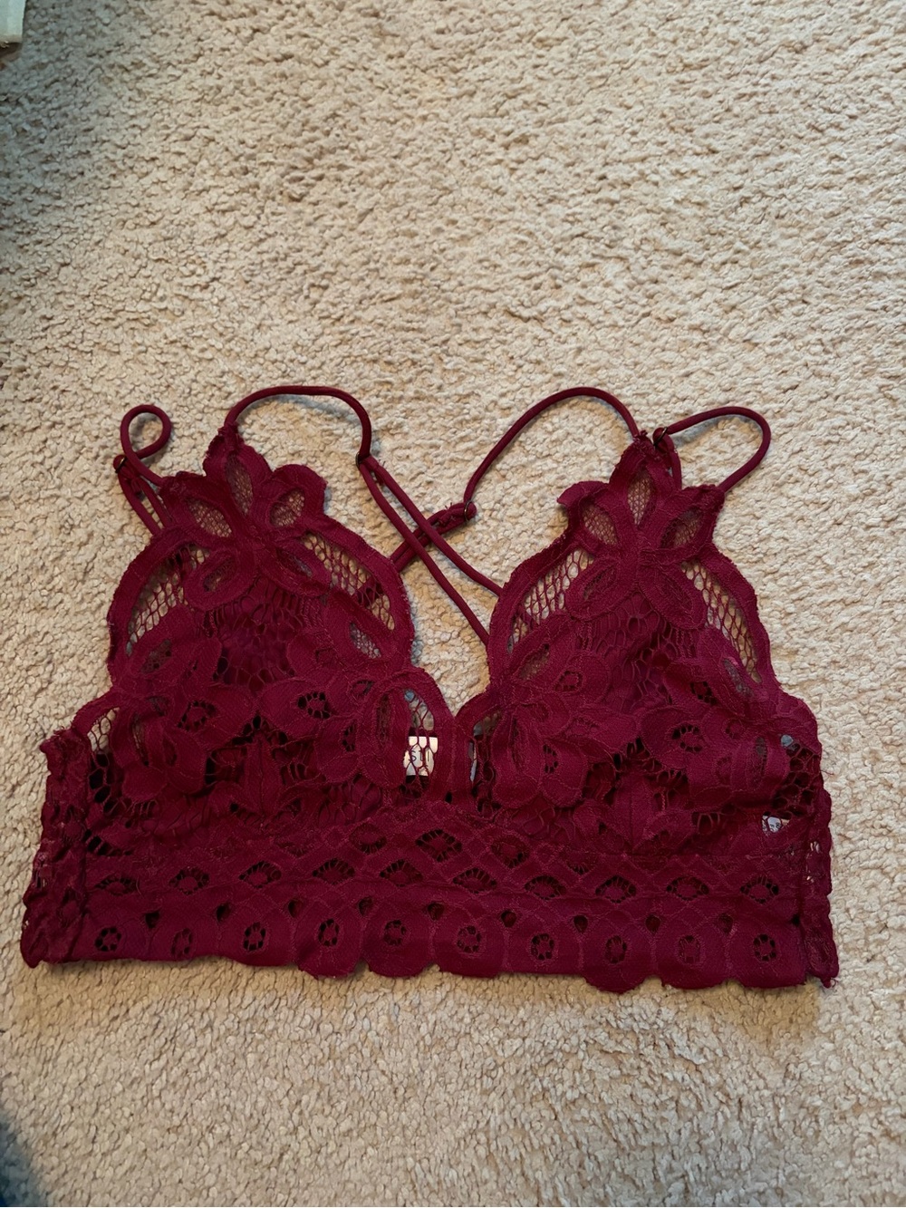 Vestique Lace Bralette in Burgundy